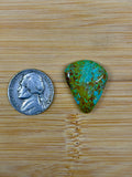 Patagonia Turquoise Cabochon