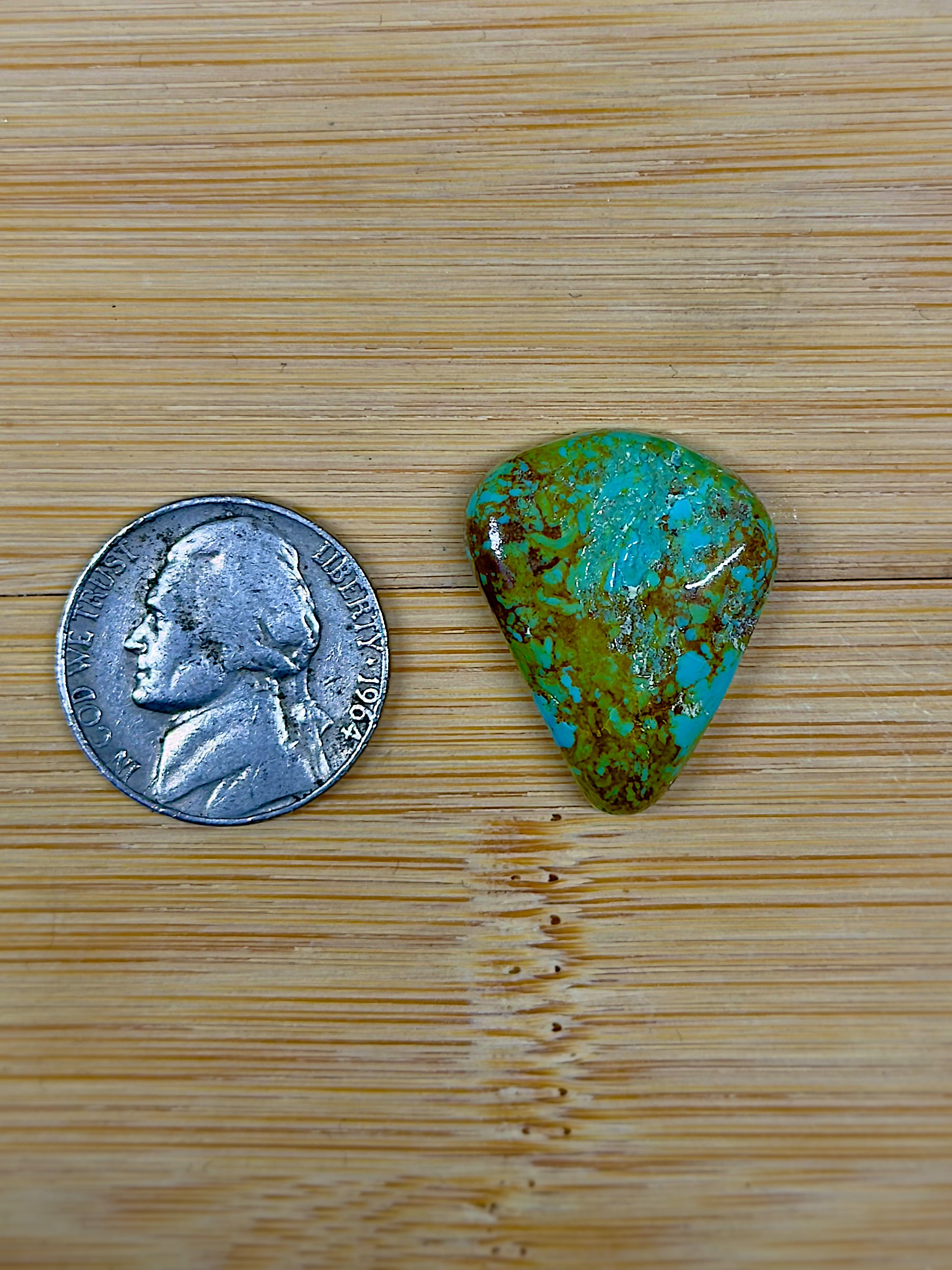 Patagonia Turquoise Cabochon